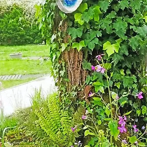 Mirguet Au Jardin Séjour chez l'habitant